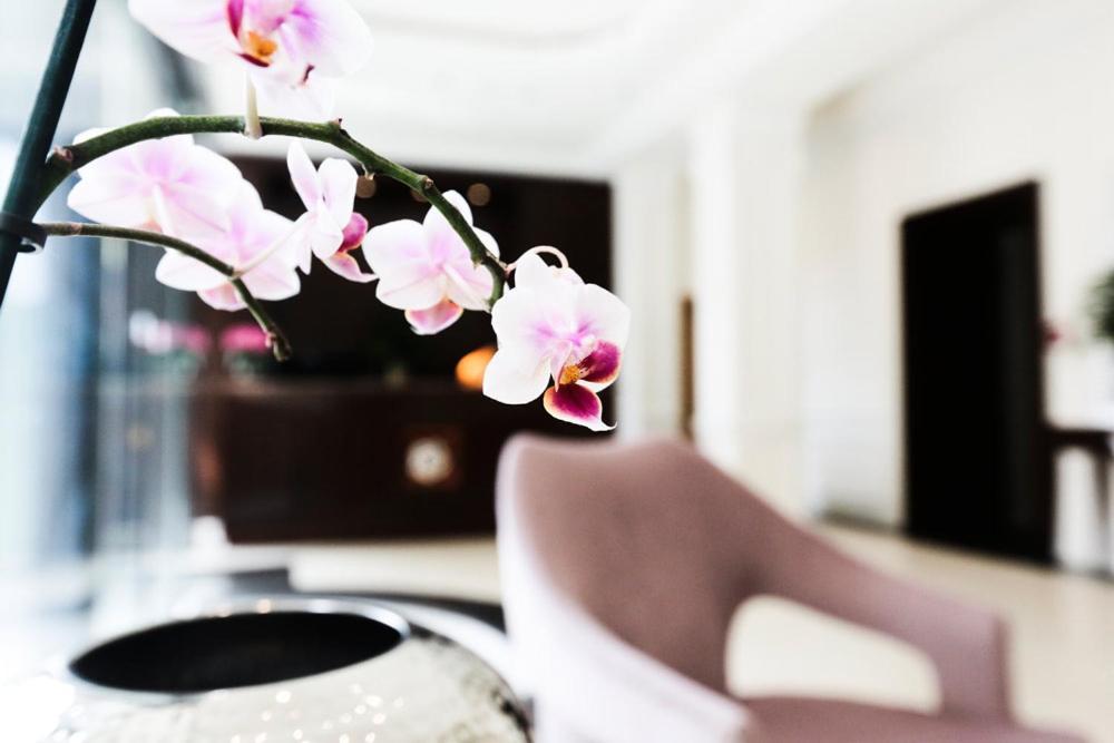 Kleiner Rosengarten Mannheim Ngoại thất bức ảnh